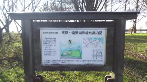 琵琶湖「湖岸緑地　長浜南浜」