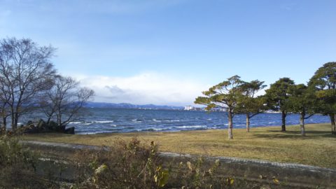 琵琶湖「湖岸緑地　田村-1」
