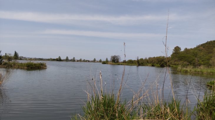 琵琶湖畔のデイキャンプ・バーベキューにオススメの無料スポット「湖岸緑地　曽根沼」