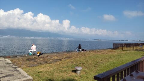 琵琶湖「湖岸緑地　帰帆島-3」