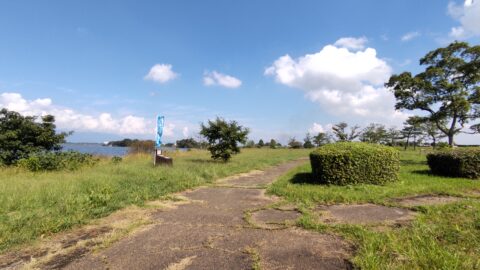 琵琶湖「湖岸緑地　赤野井-1」