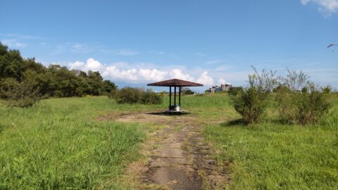 琵琶湖「湖岸緑地　赤野井-3（北）」