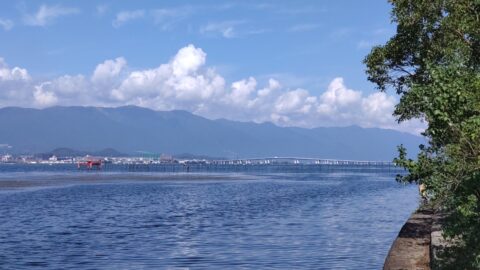 琵琶湖「湖岸緑地　木浜-1（北）」