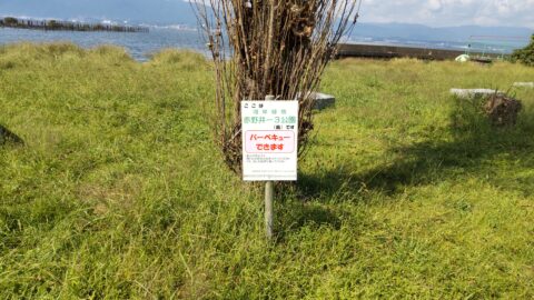 琵琶湖「湖岸緑地　赤野井-3（南）」