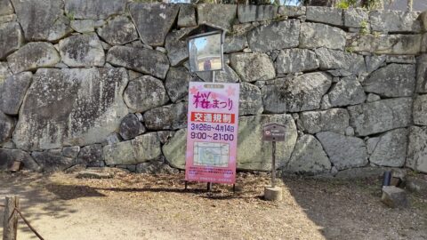 彦根城　桜まつり