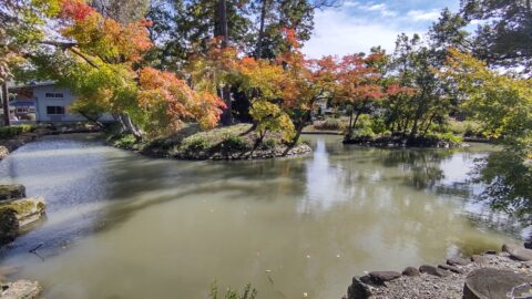 円満寺の神池・神島